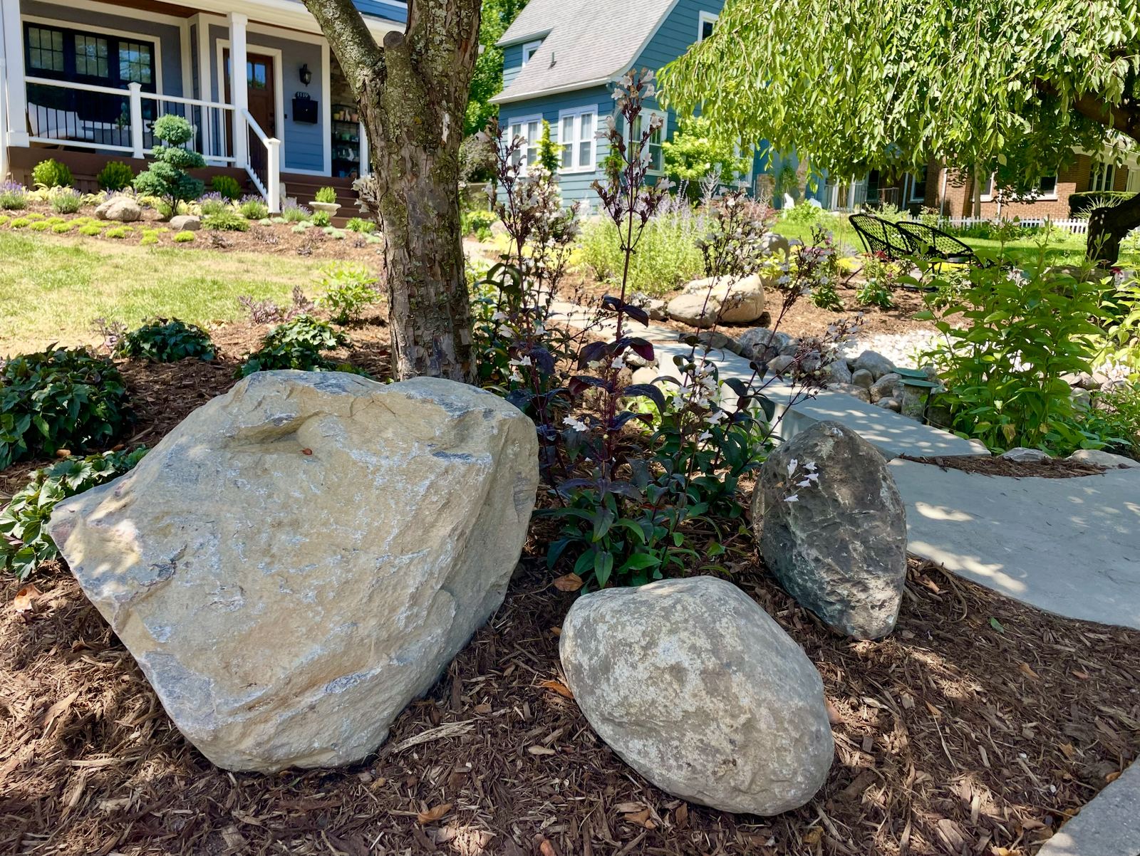 Fieldstone boulders set among dark-leaved penstemon in a mulched bed, Ann Arbor front garden