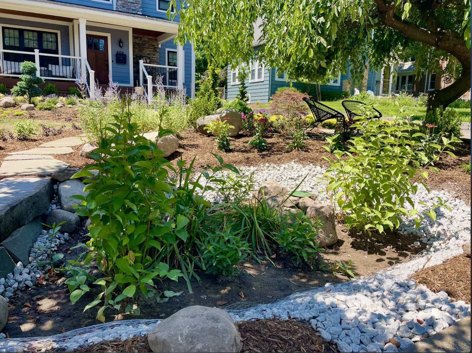 Dry creek bed of white stone with hydrangeas and boulders, part of a rain garden in Ann Arbor