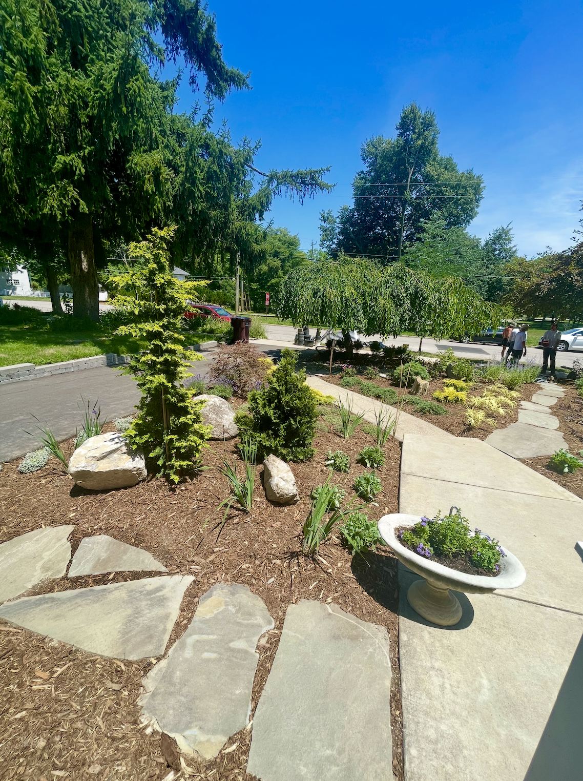 Flagstone landing with stone birdbath, golden conifer and iris planting, Ann Arbor