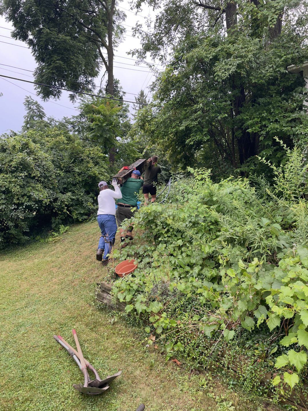 Aaron's crew hauling out old landscape timbers by hand