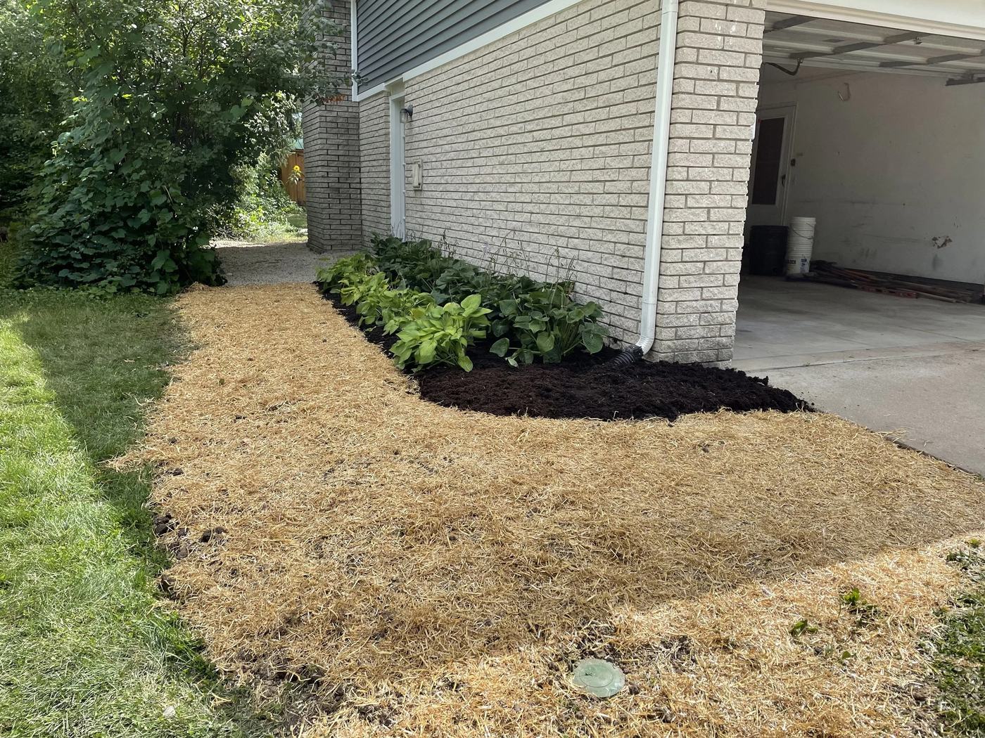 Drainage swale along fence line with new plantings