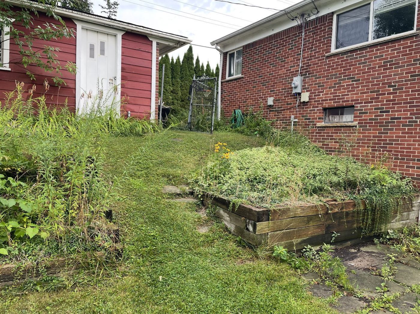 Overgrown hillside with failing timber planters before the backyard transformation