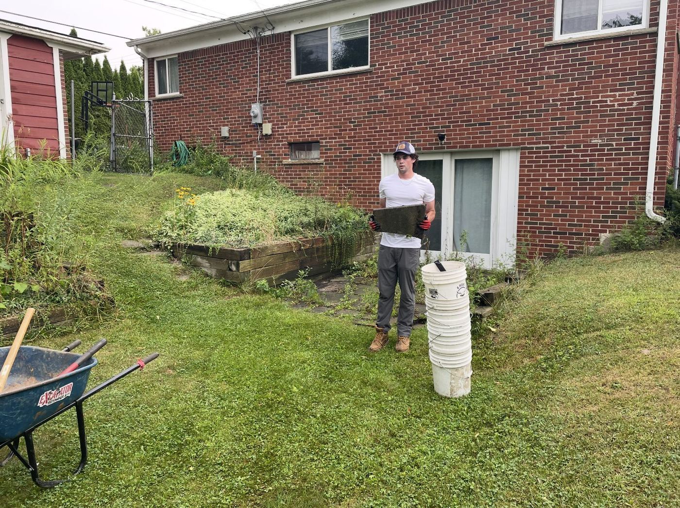 Weedy slope and rotting timber beds against the house before the makeover