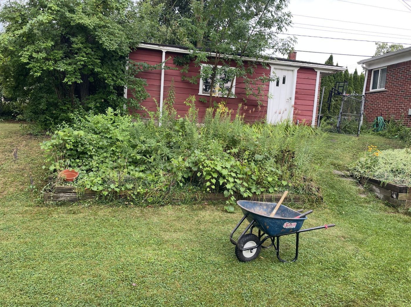 Overgrown timber planter beds in front of the garage before the rebuild