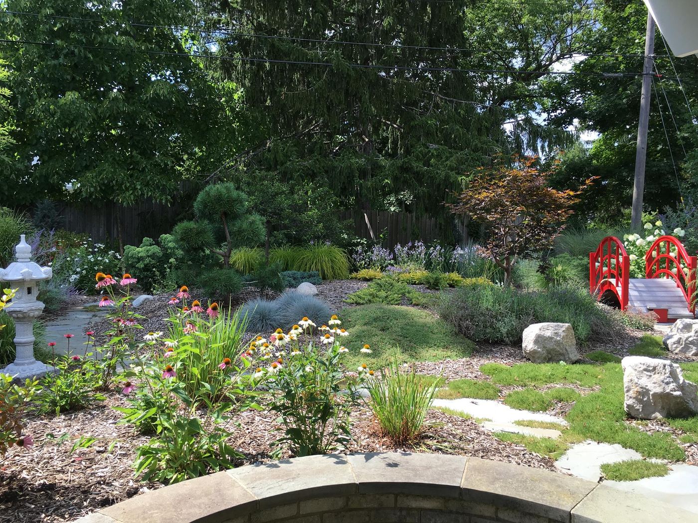 Japanese woodland garden