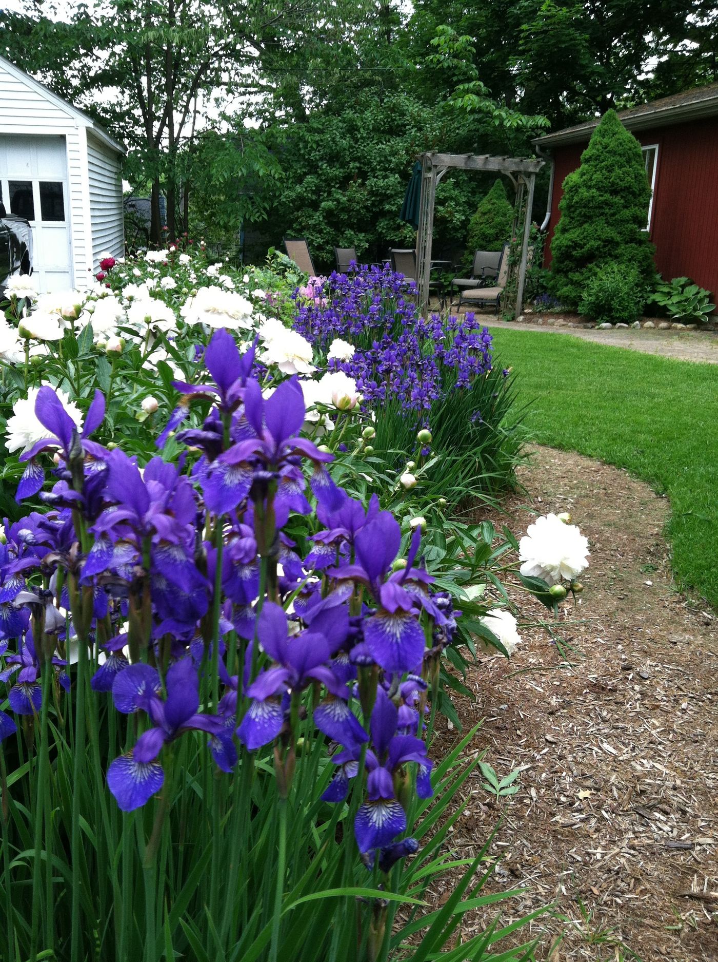 Butterfly garden full bloom