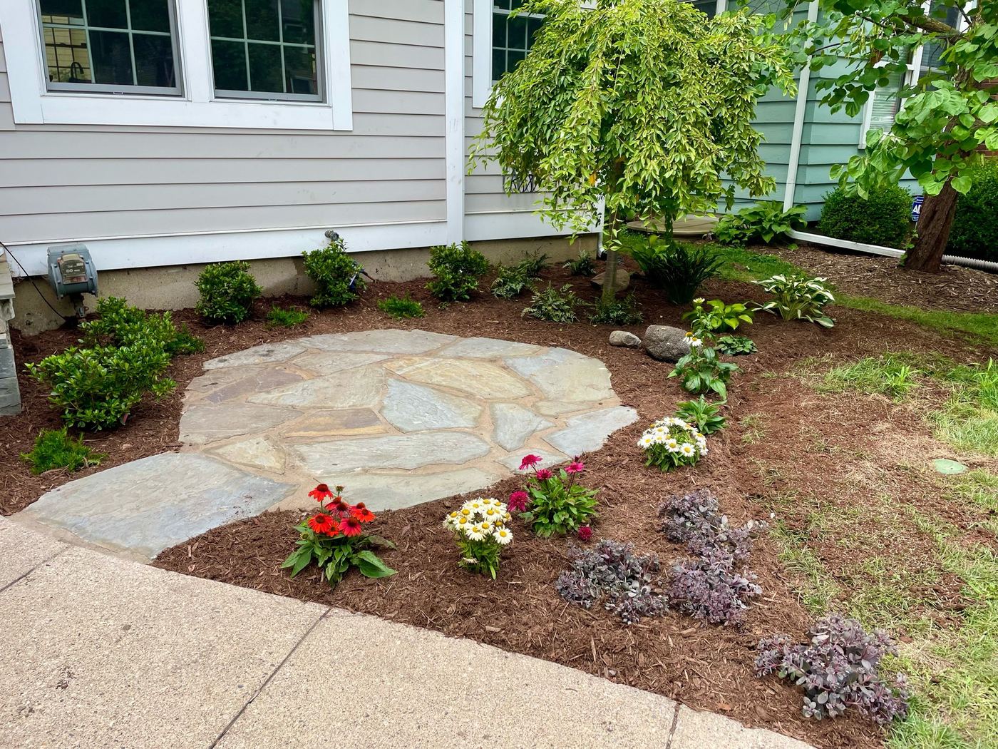 Complete yard makeover