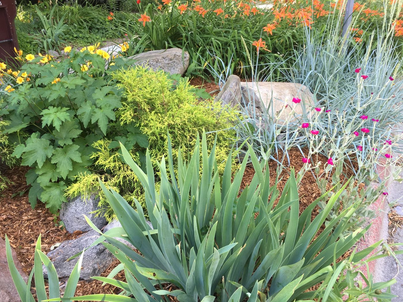 Cottage garden seasonal color