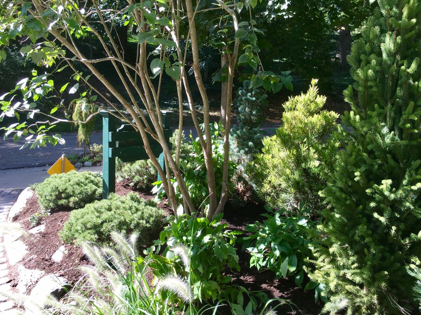 Crisp modern planting bed