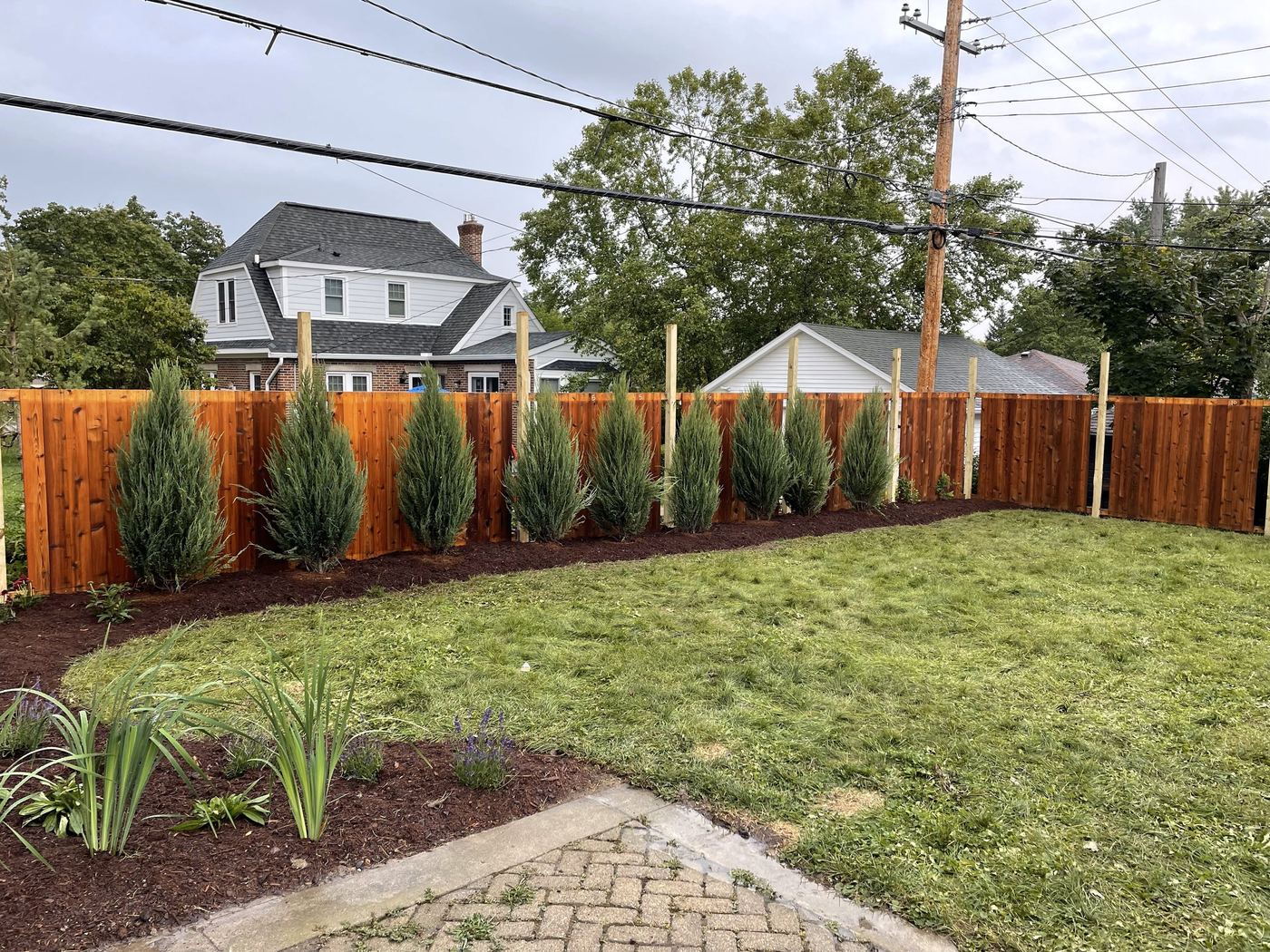 Stained cedar privacy fence with mature screen planting
