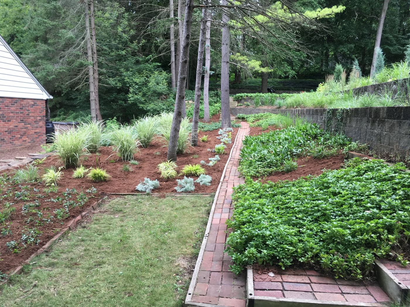 Finished retaining wall bed with ornamental grasses and brick path