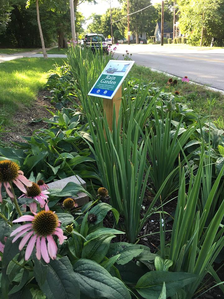 Rain garden with stone edging