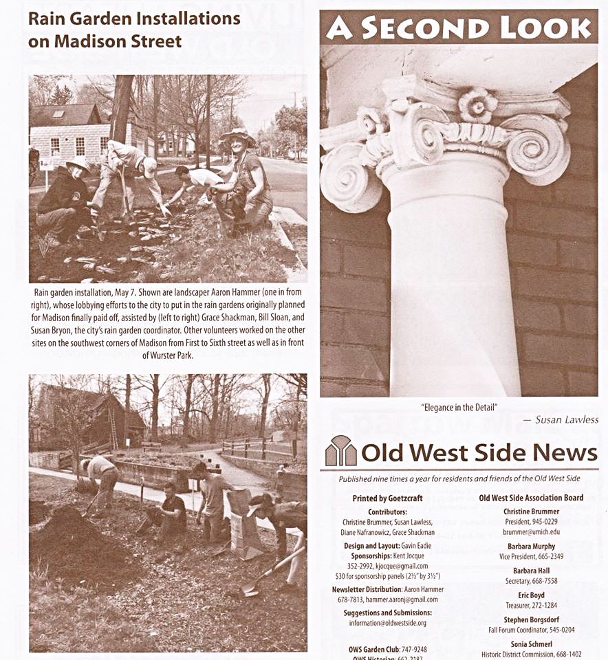 Madison Street rain garden article