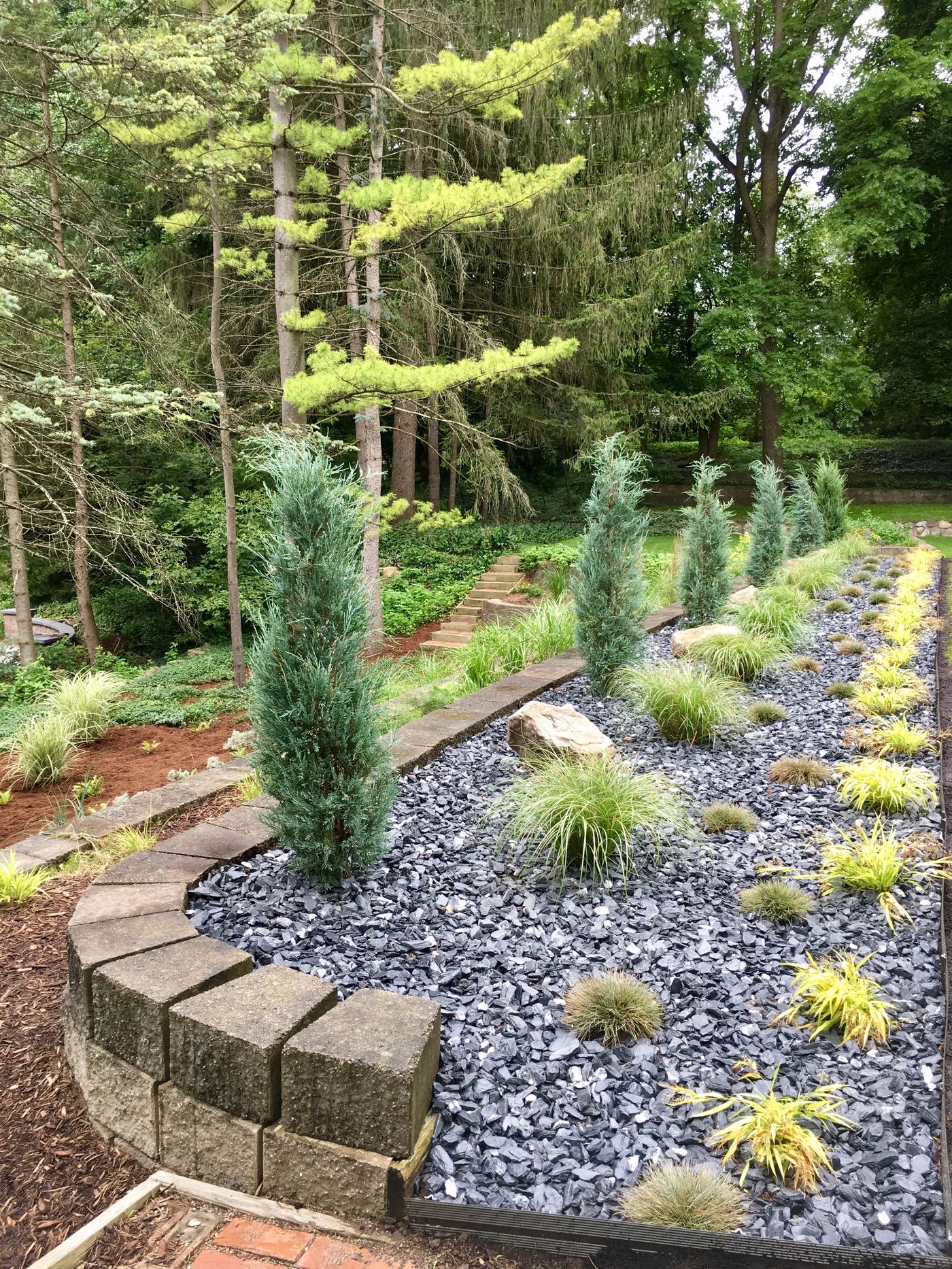 Manicured shrub planting