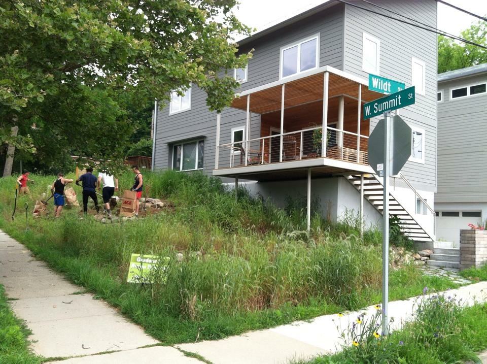 Overgrown lot before urban prairie planting