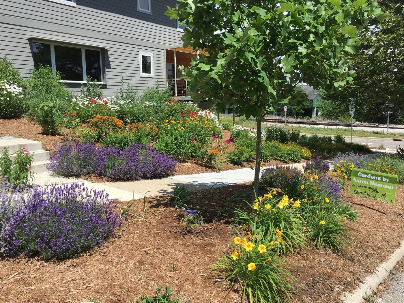 Perennial border design