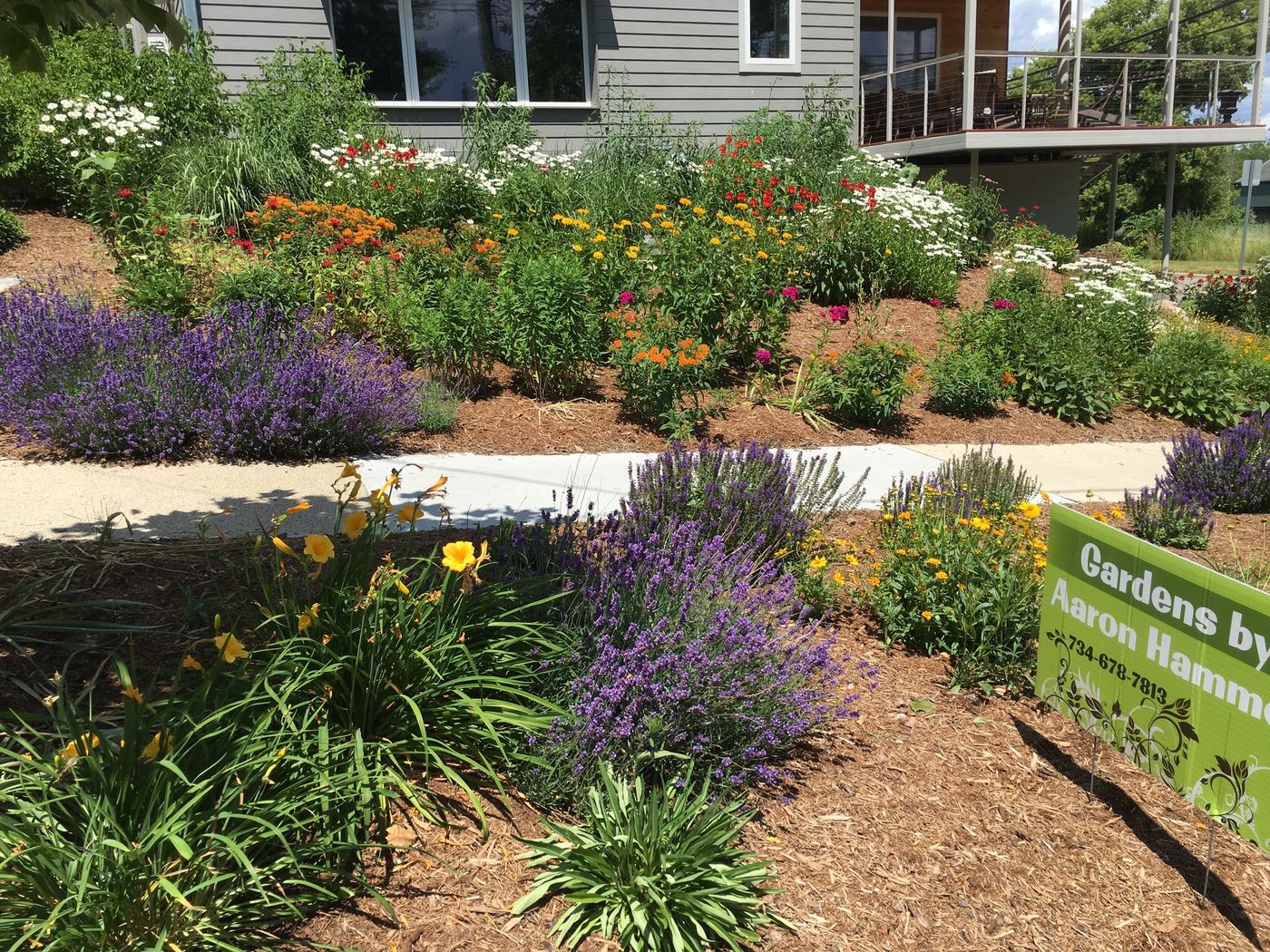 Perennial garden full sun planting