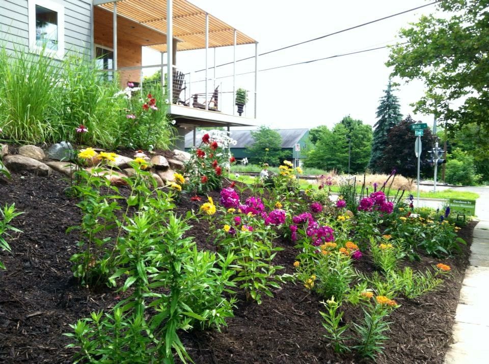 Prairie garden grasses swaying