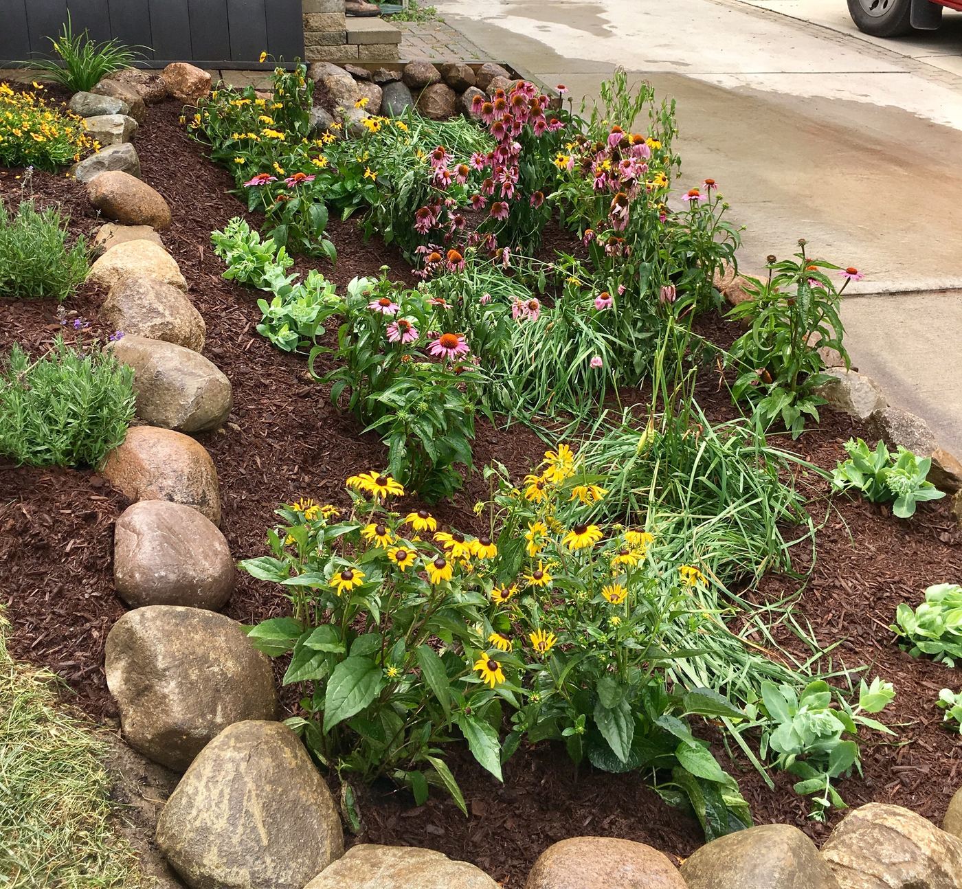 Rain garden seasonal color with boulder edging
