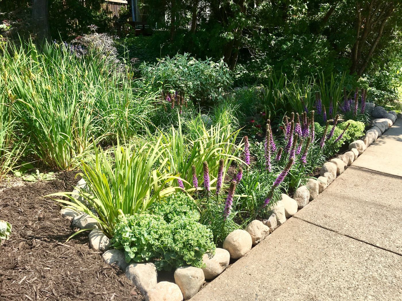 Rain garden after expansion, fully planted along the same river-rock border