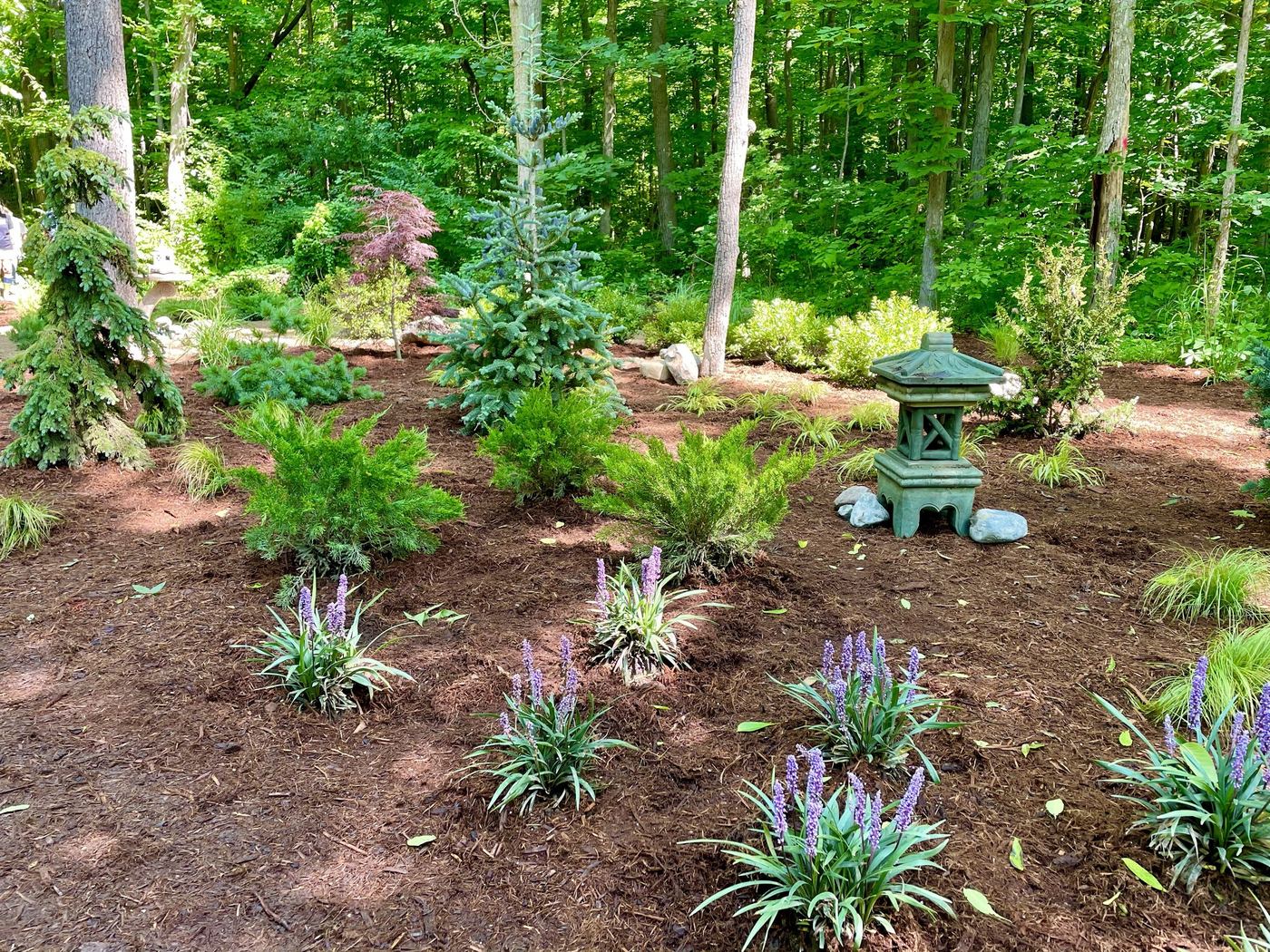 Zen garden planting detail