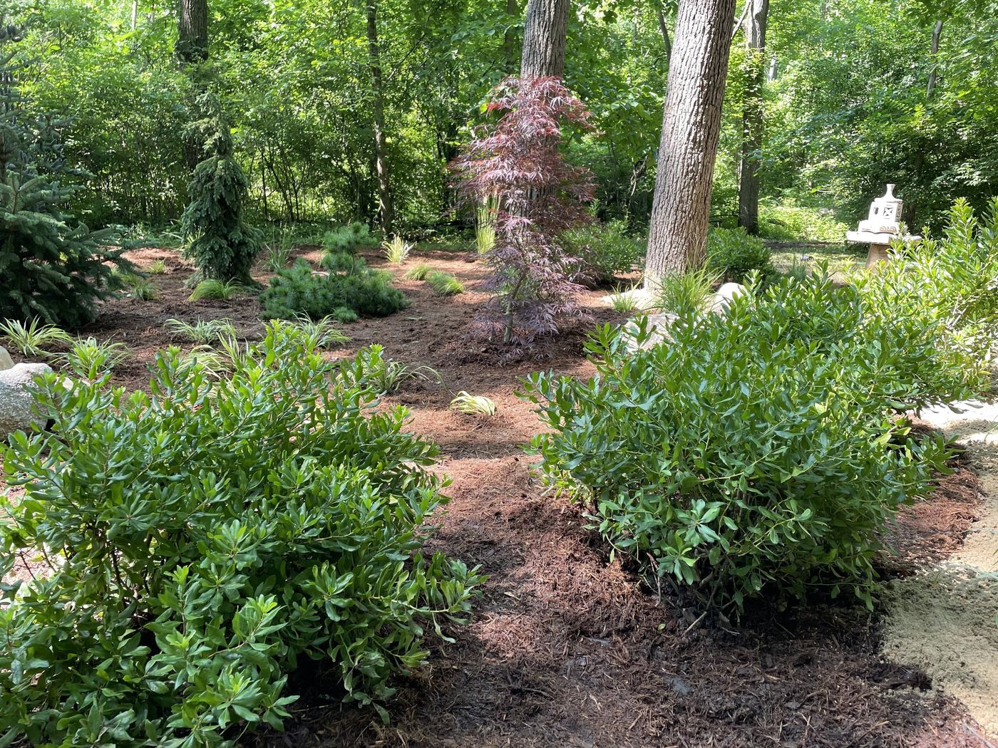 Zen garden edge and texture