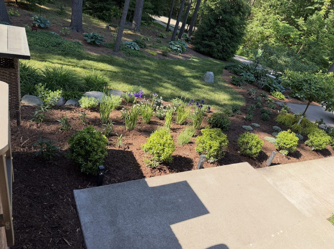 View from the porch over freshly planted front beds and lawn